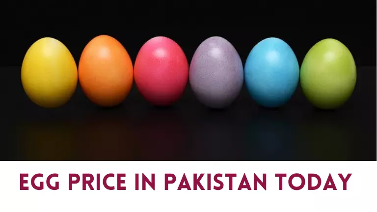 Egg Price in Pakistan Today
