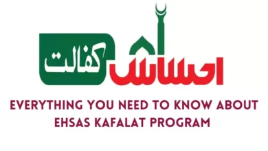 Ehsas Kafalat Program